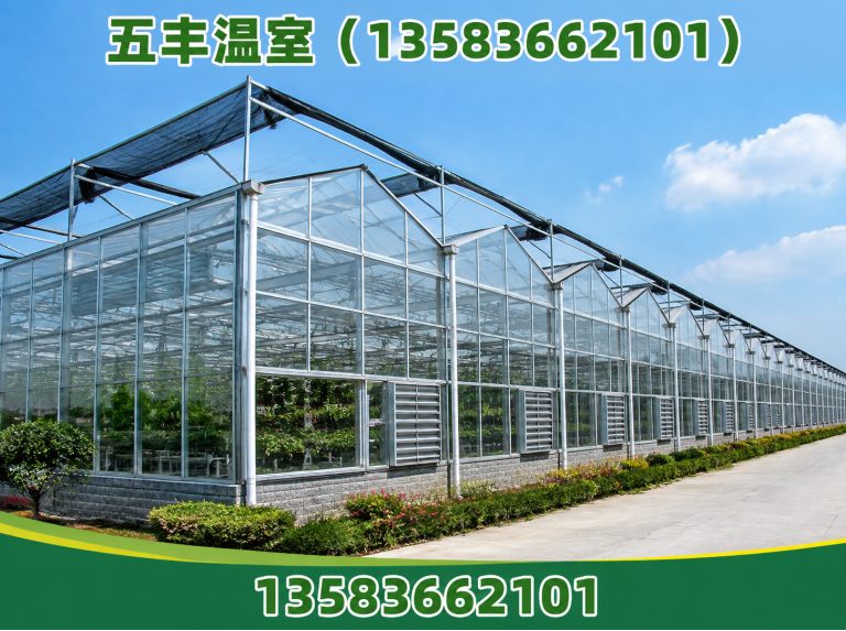 高密市五丰温室展示图